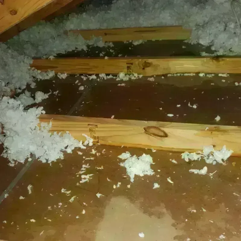 Attic Water Damage in Moore County, TN