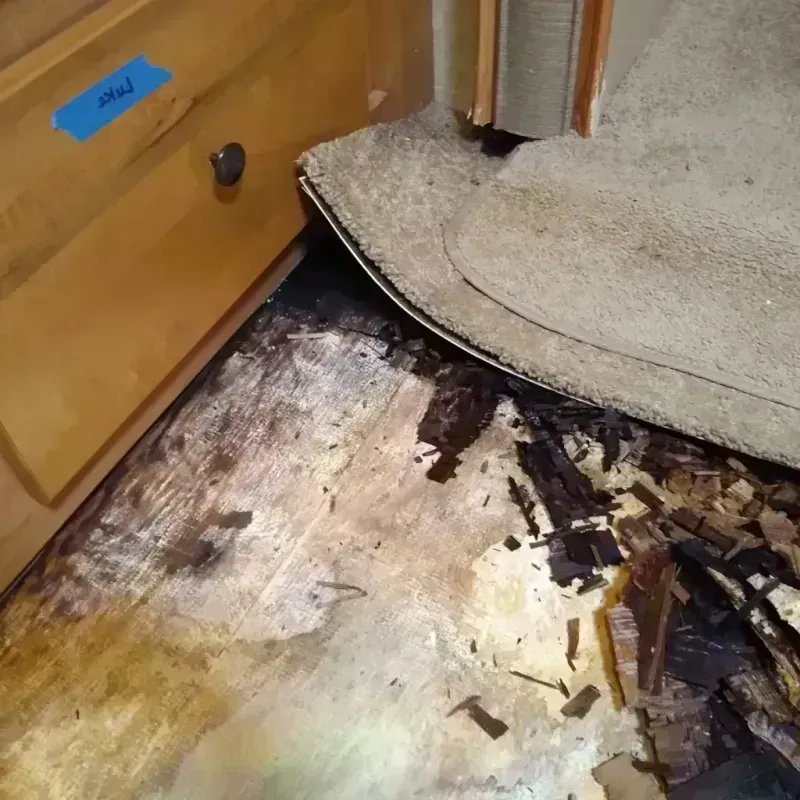 Best Wood Floor Water Damage Service in Moore County, TN